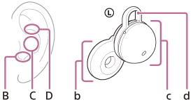 Obrázek označující polohu ucha při vložení sluchátka do ucha (poloha pro vložení měniče (B), poloha pro podepření krytu (C), poloha pro zavěšení závěsu za uši (D)) a poloha sluchátka (měnič (b)), kryt (c), závěs za uši (d))
