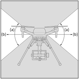 Illustration showing a front view of the detection range of the stereo cameras