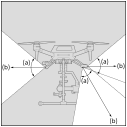 Illustration showing a side view of the detection range of the stereo cameras