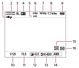 Illustration af skærmen under filmoptagelse