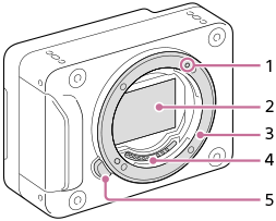 Илюстрация на фотоапарата без обектив