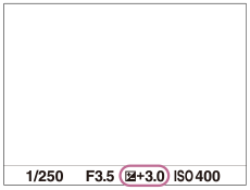 Example of an exposure compensation value indicated on the monitor