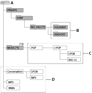 Recorded files appear in the [PRIVATE] - [SONY] - [REC_FILE] folder.