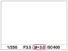 Beispiel eines auf dem Monitor angezeigten Belichtungskorrekturwerts