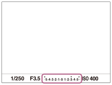 Exemple d’une valeur de correction d’exposition indiquée dans le viseur