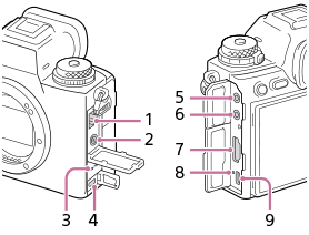 Illustration of the side view of the camera