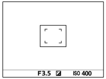 Пример индикации для синхронизации съемки