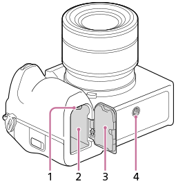 Ilustração da parte inferior da câmara