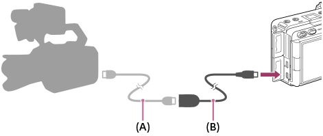 Illustration montrant comment raccorder le câble BNC à l’appareil photo à l’aide du câble adaptateur