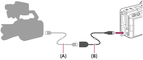 Ilustração que mostra como ligar o cabo BNC à câmara utilizando o cabo adaptador