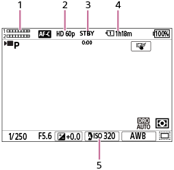 Illustrazione della schermata durante la registrazione di filmati