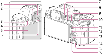 Illustrasjon av baksiden på kameraet