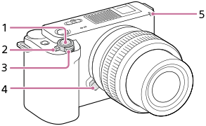 Ilustração da parte da frente da câmara