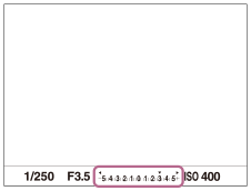 ตัวอย่างของค่าชดเชยแสงที่แสดงในช่องมองภาพ