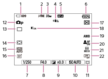 Obrázek obrazovky při snímání fotografií