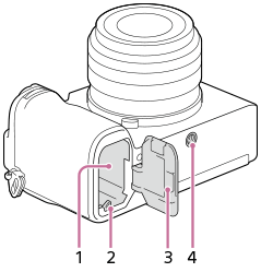 Ilustração da parte inferior da câmara