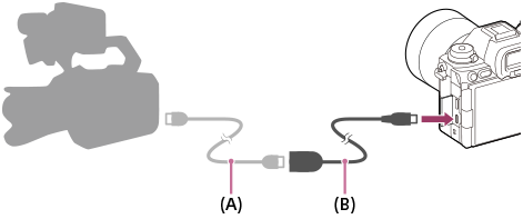 Ilustracja przedstawiająca sposób podłączenia przewodu BNC do aparatu przy użyciu przejściówki