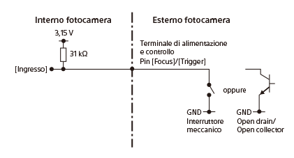 Schema elettrico del segnale del terminale FOCUS/terminale TRIGGER