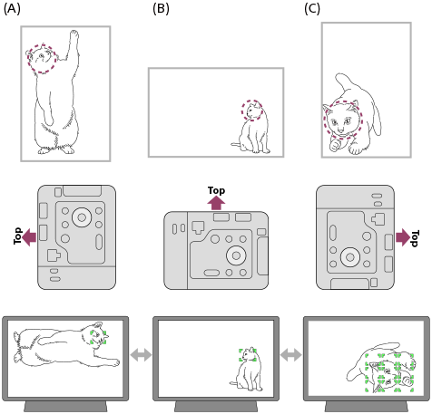 Illustratie van hoe de positie van het scherpstelkader verandert afhankelijk van of de camera horizontaal of verticaal wordt gehouden