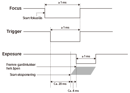 Diagram over tidsinnstillinger for signalgenerering for Focus/Trigger/Exposure