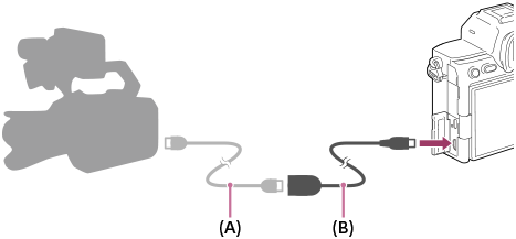 Illustration montrant comment raccorder le câble BNC à l’appareil photo à l’aide du câble adaptateur