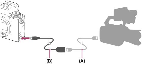 رسم توضيحي يبيّن كيفية توصيل كابل BNC بالكاميرا باستخدام كابل مهايئ
