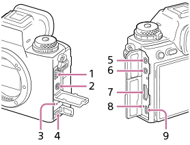 Illustrazione della vista laterale della fotocamera