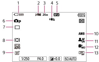 Illustration of the screen during still image shooting