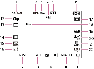 Illustration de l’écran pendant la prise d’images fixes