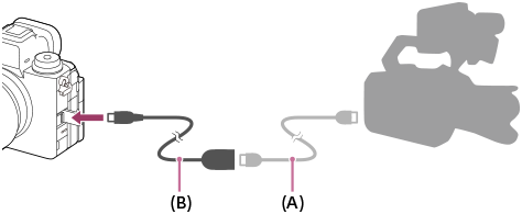 アダプターケーブルを使ってBNCケーブルとカメラを接続するイラスト