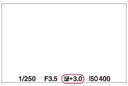 露出補正値のモニター表示例