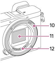 Illustration of the camera without the lens