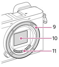 Illustration of the camera without the lens