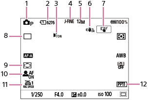 Illustration of the screen during still image shooting