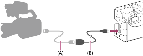 Illustration, som viser, hvordan BNC-kablet tilsluttes kameraet med adapterkablet