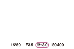 Example of an exposure compensation value indicated on the monitor
