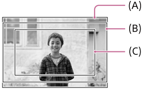 تصویر نشان دهنده زاویه دید هنگام تصویربرداری تصاویر ساکن و هنگام ضبط کردن فیلم ها