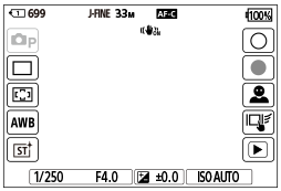 Illustration de l’écran pendant la prise d’images fixes