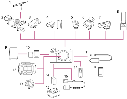 Illustration of camera and peripheral devices