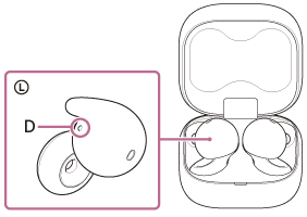 Illustration indicating the location of D