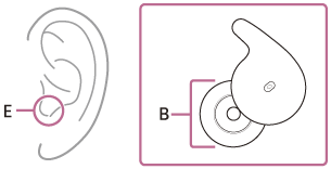 Illustration indicating the locations of B and E