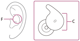 Illustration indicating the locations of C and F.
Fit the protruding part of the sphere-shaped housing part C into your ear groove F.