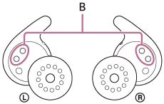 Illustration indicating the location of B