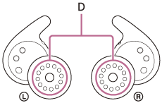 Illustration indicating the location of D