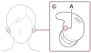 Illustration indicating the location of A