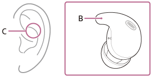 Illustration indicating the location of B and C