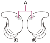 Illustration indicating the location of A