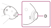 Illustration indicating the location of D