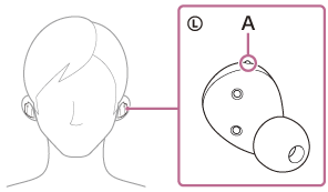 Illustration indicating the location of A