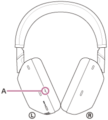 Illustration indicating the location of A